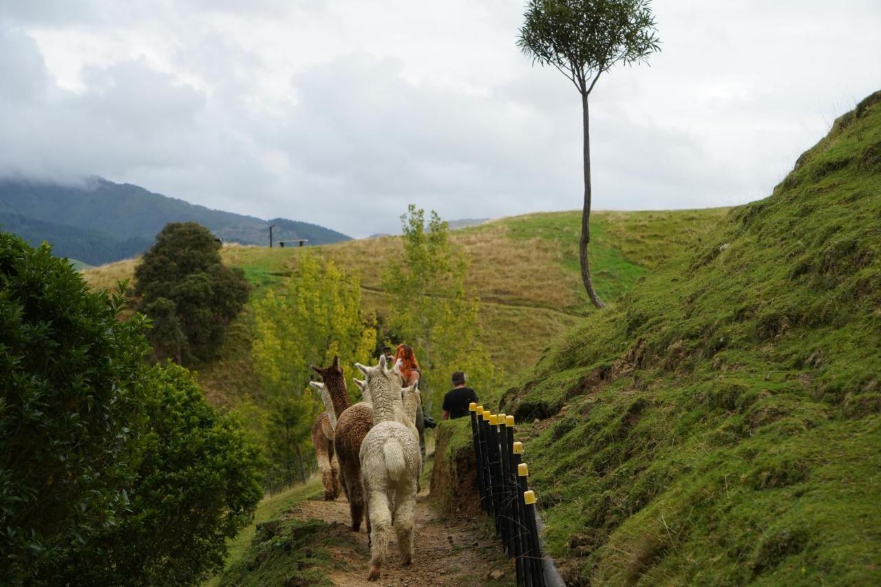 Luxury Stay, Alpaca Farm パラパラウム エクステリア 写真