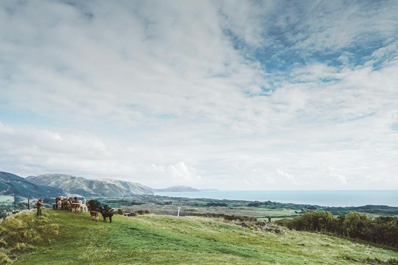 Luxury Stay, Alpaca Farm パラパラウム エクステリア 写真